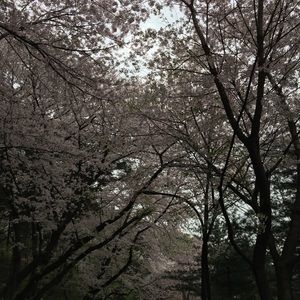 Meet your Posher, Joanna